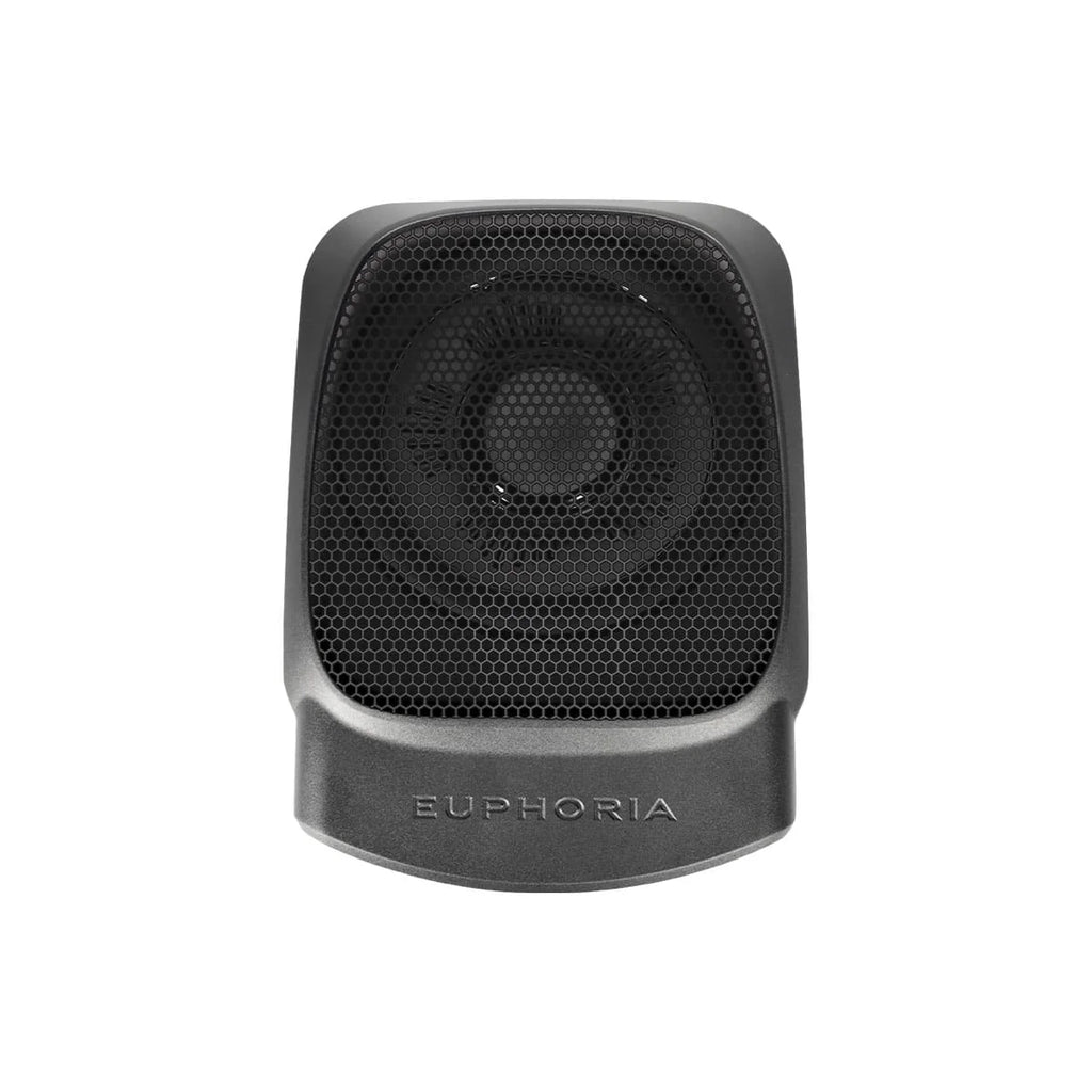 EPSW10 10" Underseat Active Subwoofer